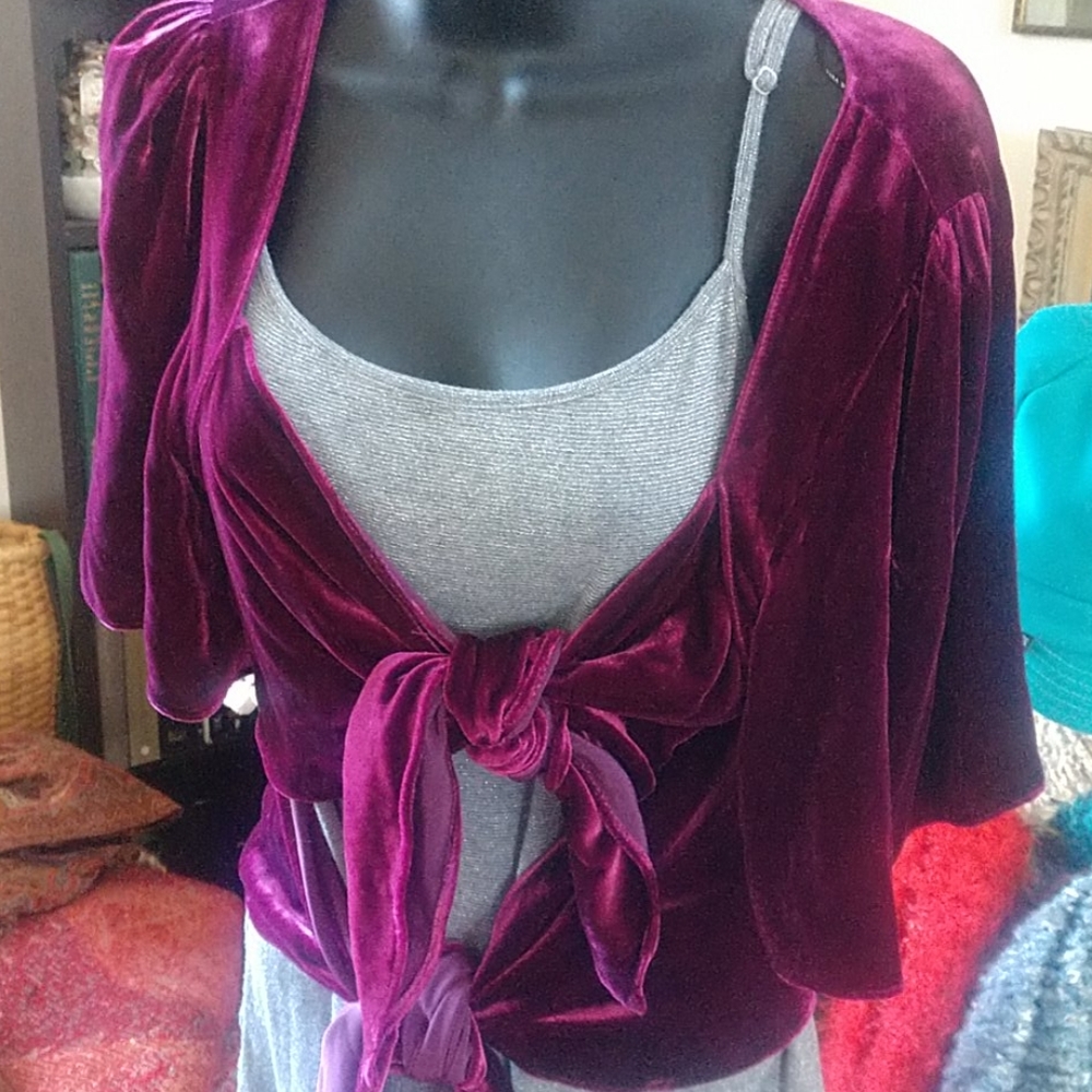 Zara velvet top